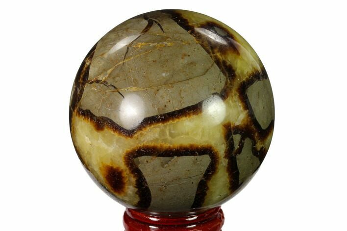 Polished Septarian Sphere - Madagascar #154126